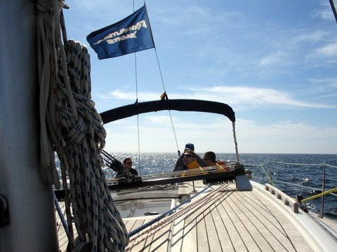 img-1477-480.jpg