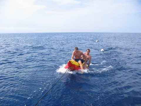 mini-img_2338.JPG