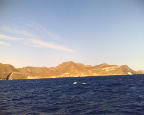 image_00230.jpg