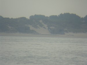 DSC00356