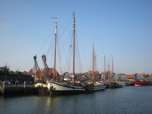 DSCN0924
