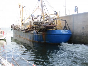 IMG_0136